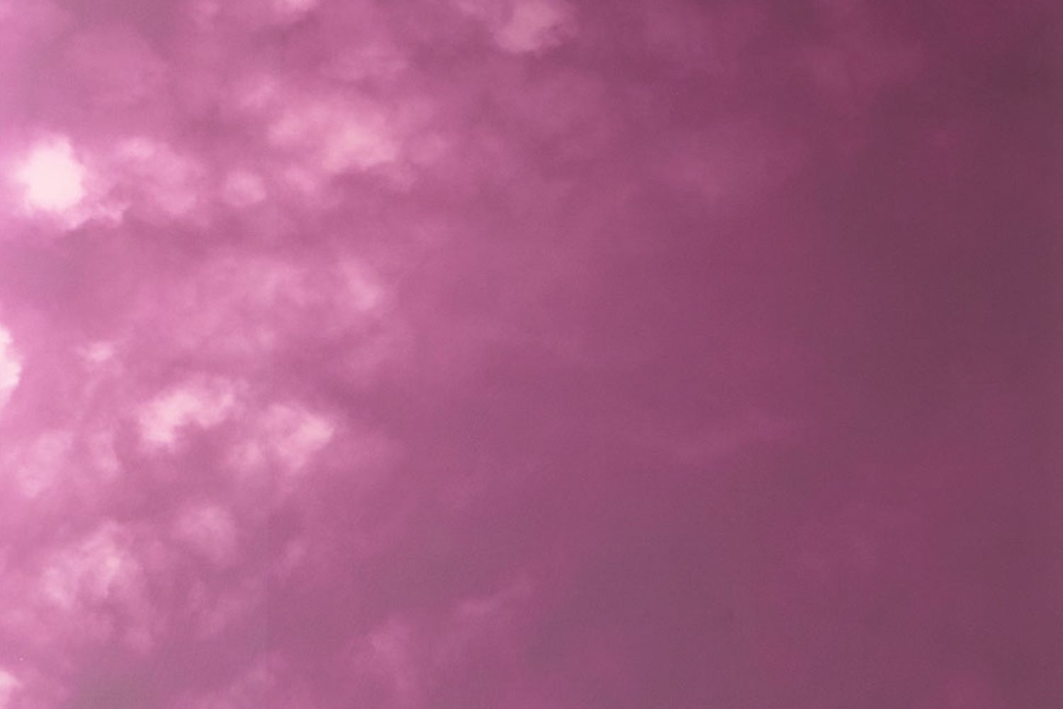 if_2023_AIREMAGENTA_05_PORTADA